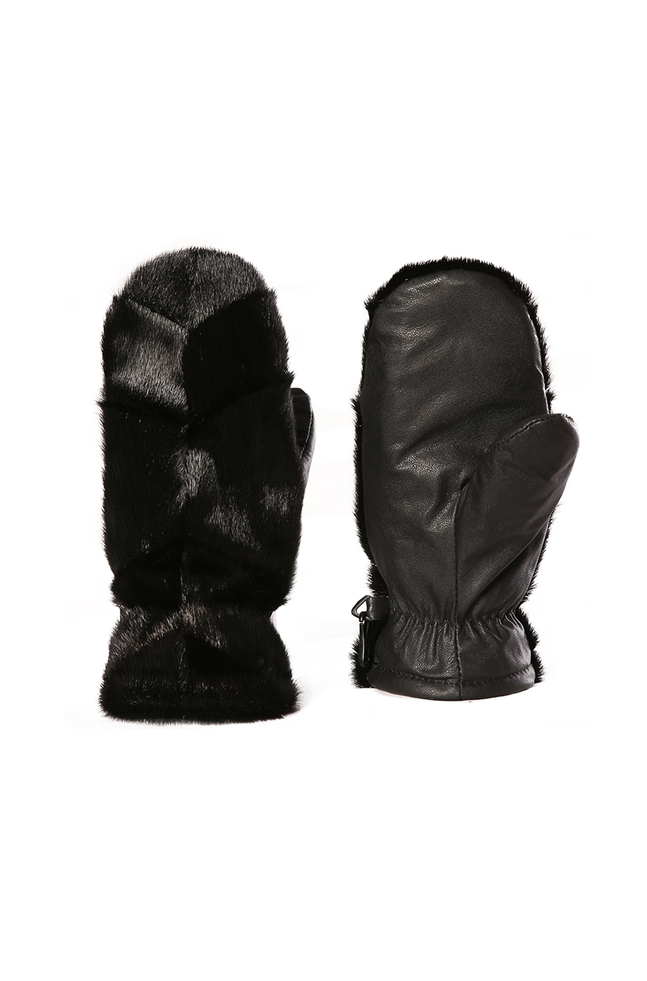 BILODEAU #LOUP MARIN DBL. ASCLEPIADE NOI BILODEAU #LOUP MARIN DBL. ASCLEPIADE NOI