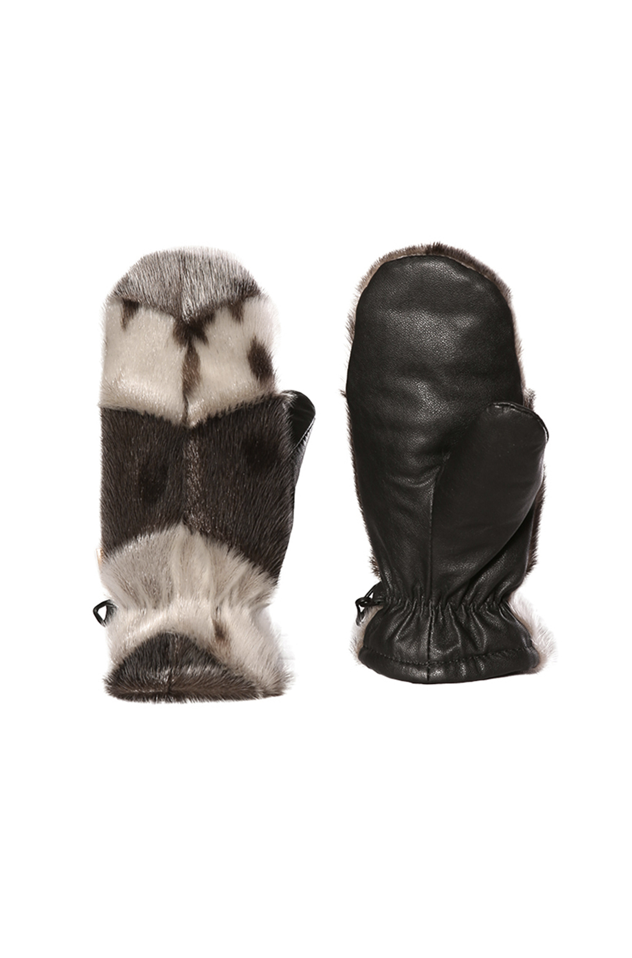 BILODEAU #LOUP MARIN DBL. ASCLÉPIADE NAT BILODEAU #LOUP MARIN DBL. ASCLÉPIADE NAT