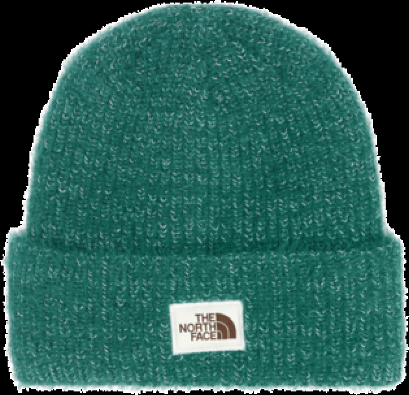 NORTH FACE # SALTY BAE LINED BEANIE - - NORTH FACE