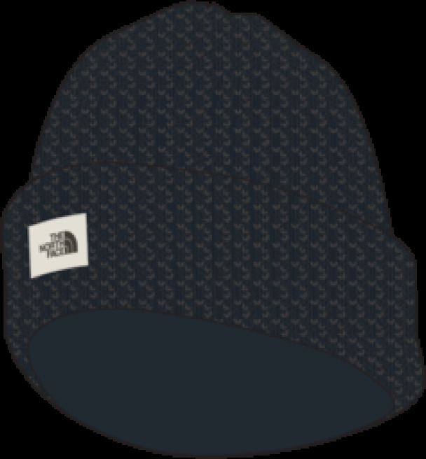 NORTH FACE # SALTY BAE LINED BEANIE - - NORTH FACE