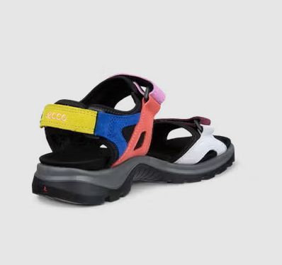 ECCO # OFFROAD MULTI