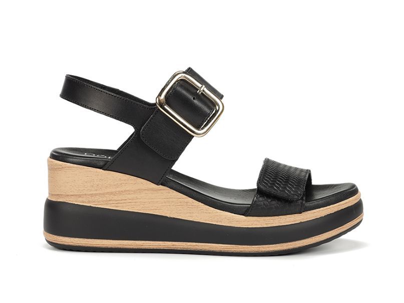 DORKING # PRINCE NOIR