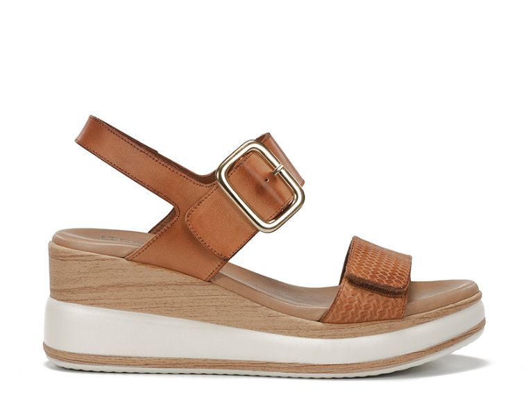 DORKING # PRINCE BRUN