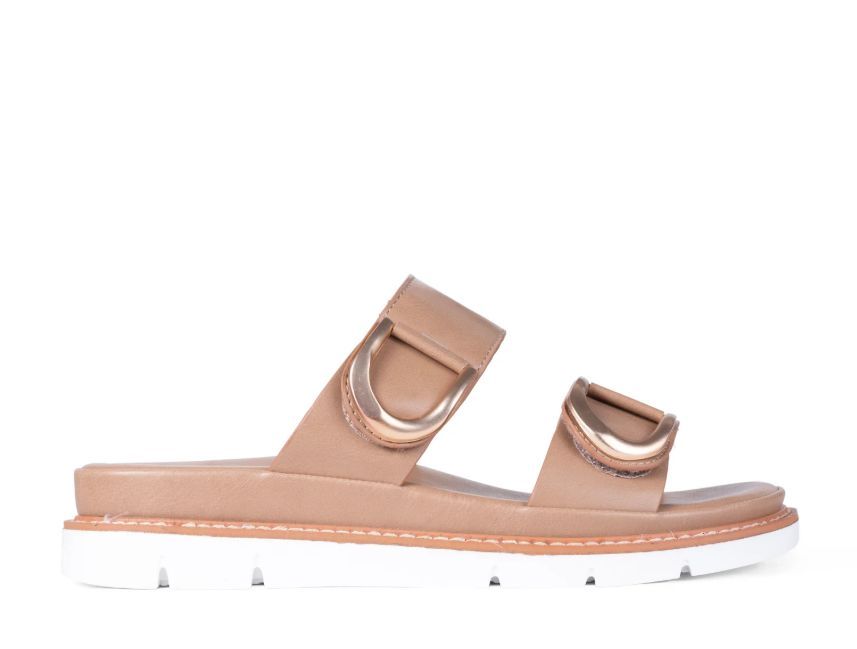 LOS CABOS # SAN TAUPE